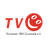 TV Crumstadt